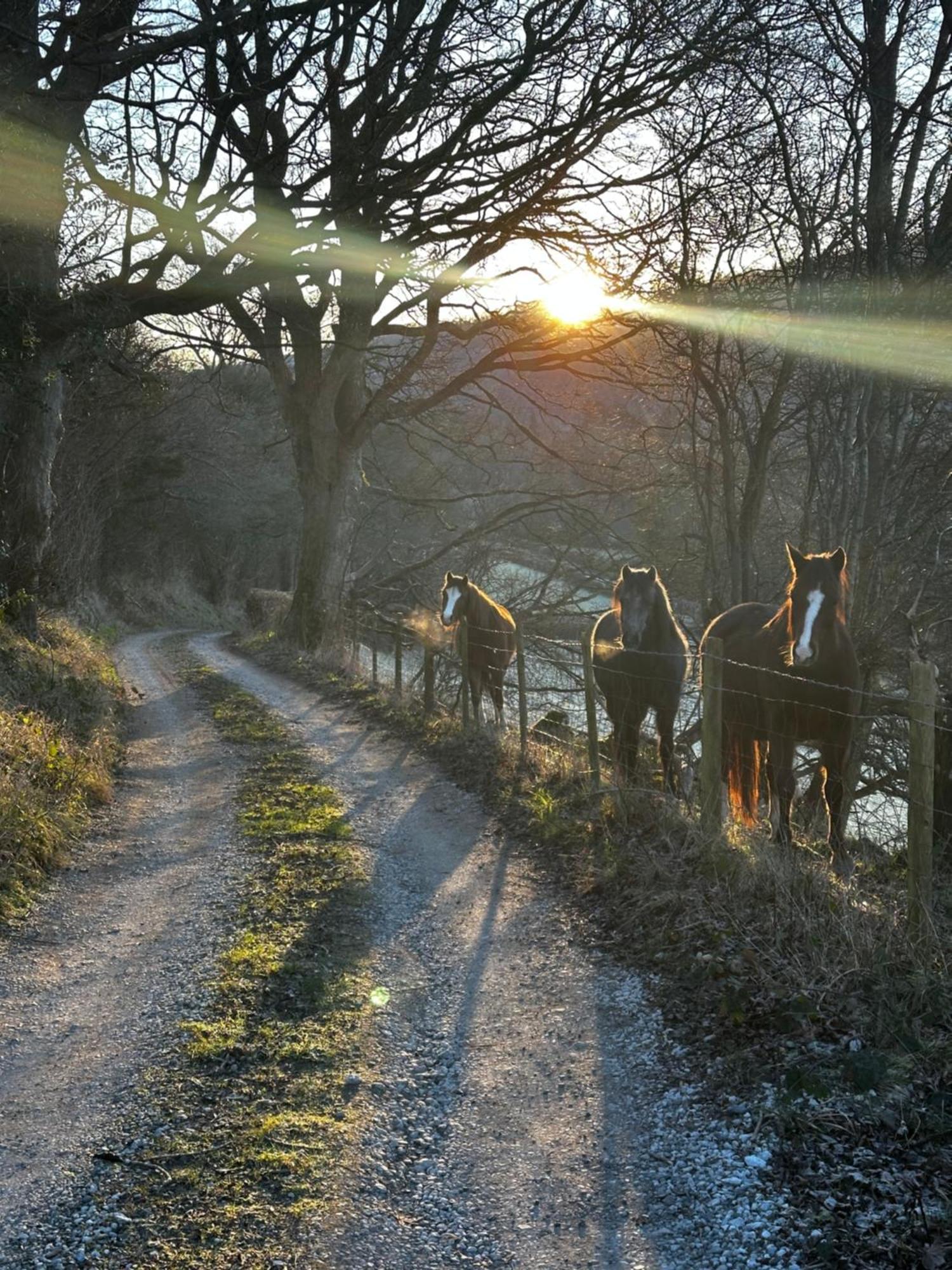 The Cowshed Bed & Breakfast คลางกอซเลน ภายนอก รูปภาพ